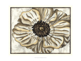 Fresco Flowerhead II Giclee Print by Slocum Nancy