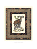 Rustic Big Horn Giclee Print by Vision Studio