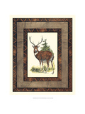Rustic Deer Giclee Print by Vision Studio