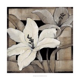 Dramatic Lily Grid I Giclee Print by Tim O'toole