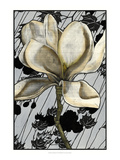 Patterned Magnolia I Giclee Print by Jennifer Goldberger
