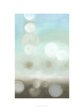 Dewdrops II Giclee Print by Jennifer Goldberger