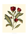 Jenna's Flowers IV Giclee Print by Sellier 