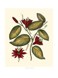 Jenna's Flowers III Giclee Print by Sellier 
