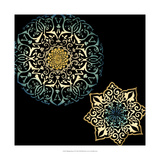 Midnight Rosette IV Giclee Print by Chariklia Zarris