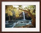 Scenic View of a Waterfall on Havasu Creek Framed Photographic Print by W. E. Garrett