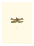 Miniature Dragonfly III Lámina giclée por Vision Studio Miniature Dragonfly III Lámina giclée por Vision Studio