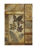 Falling Leaves II Giclee Print by Tim O'toole