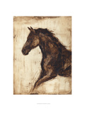 Weathered Equestrian I Giclee Print by Ethan Harper