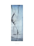 Whale Songs III Giclée-Druck von Jennifer Goldberger
