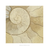 Organic Elements V Giclee Print by Vision Studio