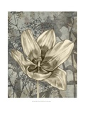 Tulip and Wildflowers VIII Reproduction procédé giclée par Jennifer Goldberger