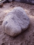 Plymouth Rock Is Traditional Arrival Site William Bradford and Mayflower Pilgrims in 1620 Photographie
