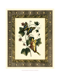 Leather Framed Butterflies II Giclee Print by Bookman Deborah