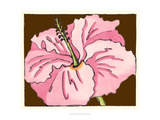 Petal Poetry VI Giclee Print by Slocum Nancy
