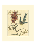 Hummingbird Reverie IV Giclee Print by Vision Studio