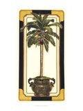 Peaceful Palm I Giclee Print by Bookman Deborah