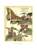 Whimsical Butterflies II Giclee Print by Vision Studio