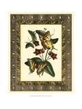 Leather Framed Butterflies I Giclee Print by Bookman Deborah