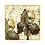 Vintage Composition III Giclee Print by Vision Studio