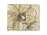 Tone on Tone Petals I Giclee Print by Slocum Nancy