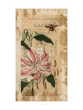 Bloom and Bee I Giclee Print by Jennifer Goldberger