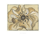 Tone on Tone Petals IV Giclee Print by Slocum Nancy
