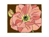Petal Poetry II Giclee Print by Slocum Nancy