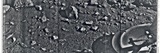First Image Taken from the Surface of Mars by the Viking 1 Lander on July 20, 1976 Photographic Print