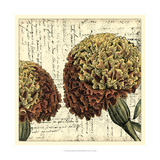 Vintage Composition IV Giclee Print by Vision Studio