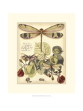 Whimsical Dragonflies II Giclee Print by Vision Studio