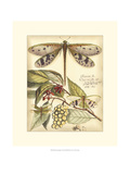 Whimsical Dragonflies I Giclee Print by Vision Studio