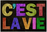 C'est La Vie Fotografia