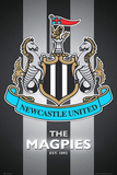 Newcastle United FC - The Magpies Club Crest Poster Newcastle United FC - The Magpies Club Crest Poster