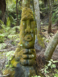 Art at Lochmara Lodge, South Island, New Zealand Photographic Print by Lee Foster