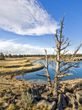 Golf Course View, Bend, Oregon, USA Photographie par Tom Norring