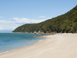 Landscape, Abel Tasman National Park, South Island, New Zealand Photographic Print by Lee Foster