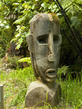 Art at Lochmara Lodge, South Island, New Zealand Photographic Print by Lee Foster