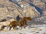 Cowboy Riding Horse, Shell, Wyoming, USA Photographic Print by Terry Eggers