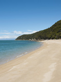 Landscape, Abel Tasman National Park, South Island, New Zealand Photographic Print by Lee Foster