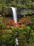 South Falls in Autumn, Silver Falls State Park, Oregon, USA Photographic Print by Michel Hersen