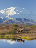 Mt. Mckinley, Denali National Park, Alaska, USA Photographic Print by Hugh Rose