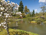 Japanese Gardens Part of Washington Park Arboretum, Seattle, Washington, USA Photographie par Trish Drury