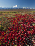 Mt. Mckinley, Denali National Park, Alaska, USA Photographic Print by Hugh Rose