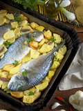 Gilthead Breams with Potatoes, Onions and Anchovies, Israeli Cooking, Israel Photographic Print by Nico Tondini