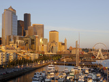 The Seattle Great Wheel, Seattle, Washington, USA Photographic Print by Jamie & Judy Wild