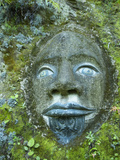 Art at Lochmara Lodge, South Island, New Zealand Photographic Print by Lee Foster