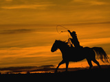 Cowboy Riding Horse, Shell, Wyoming, USA Photographic Print by Terry Eggers