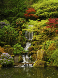 Spring, Portland Japanese Garden, Portland, Oregon, USA Photographie par Michel Hersen