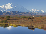 Mt. Mckinley, Denali National Park, Alaska, USA Photographic Print by Hugh Rose